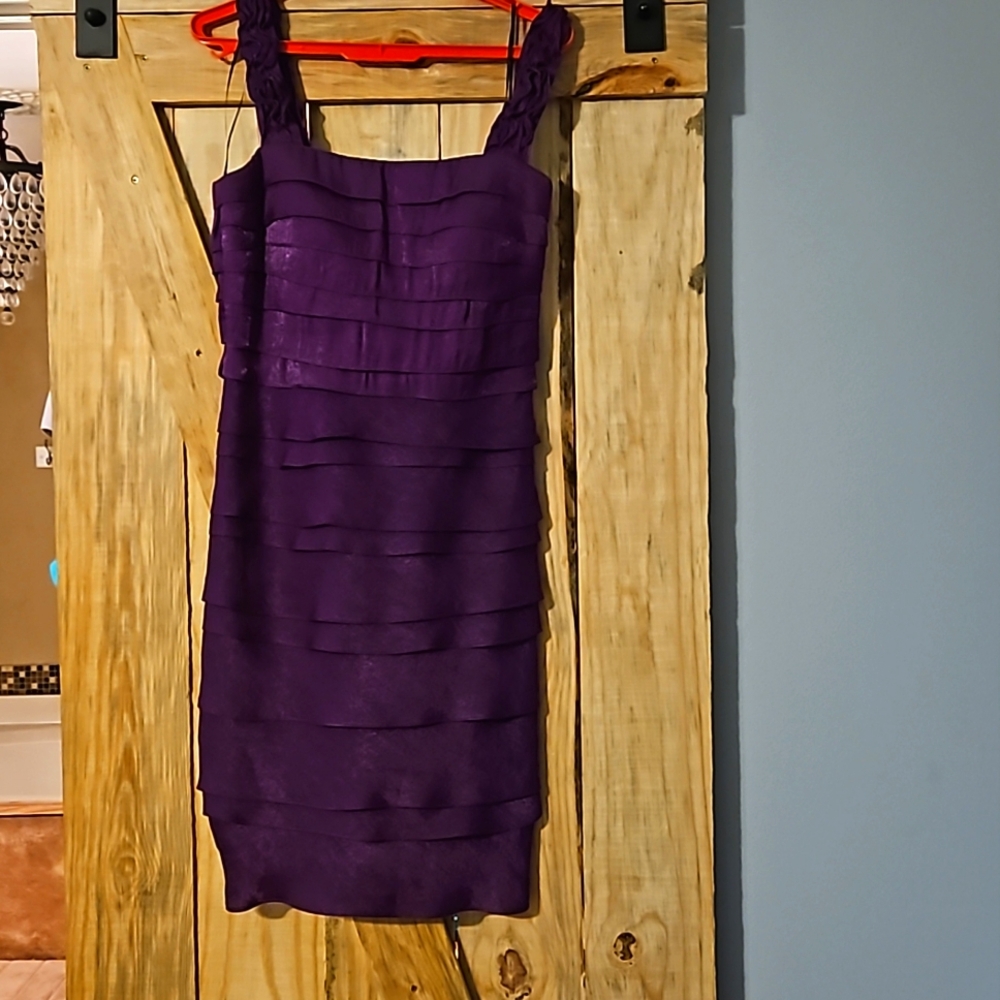 Purple dress, size 4, brand is Signature by Sangria, ruffled